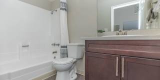 The Boulevard Gallery 41