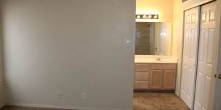 11008 Rogers Hornsby Gallery 20