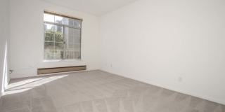 LP1 Research - #187 LP1 Research - #187 Gallery 25