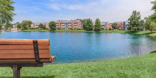 Lakeshore Apartments Gallery 58