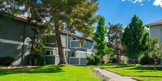 Village of the Pines Village of the Pines Gallery 3