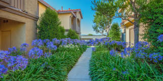 Club Pacifica Gallery 21