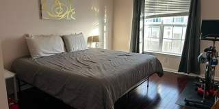 4438-00 RIVERVIEW Lane Gallery 13