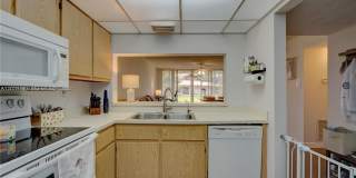 1920 Sabal Palm Dr Gallery 22