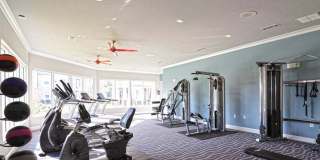 The Cove Apartments Gallery 20