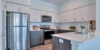 Red Hawk and Laurel Grey Gallery 15