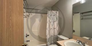 Single Level House - Move-in Ready Early July Gallery 11
