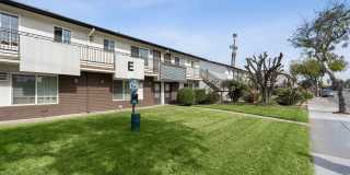 Newland Garden Gallery 13