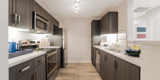 Serenade at Riverpark Gallery 31