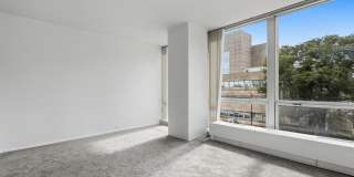 340 W Diversey Parkway Gallery 11