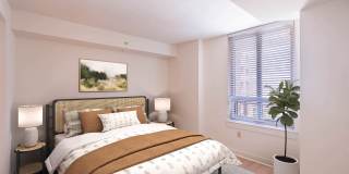 The Veridian Gallery 11