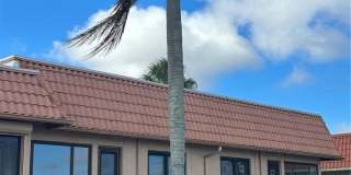 19029 US HIGHWAY 19 N Gallery 1