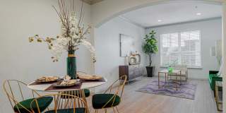 Auxo at Memorial Gallery 9