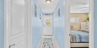 Dolphin Beach Gallery 4