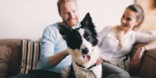 Red Stone Ranch Gallery 16