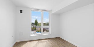 Chronicle Chronicle Gallery 4