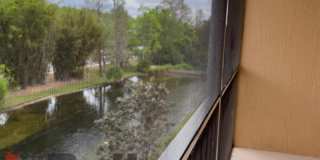 13548 Turtle Marsh Loop Gallery 9