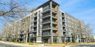 900 Willow Gallery 44