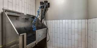 2929 Wycliff 2929 Wycliff Gallery 31