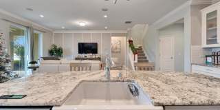 13316 Palmera Vista Drive Gallery 10