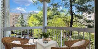 Rosslyn Heights Gallery 15