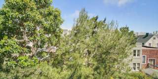 1856 Pacific Avenue 3 Gallery 5