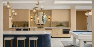 Tortoise One Gallery 50