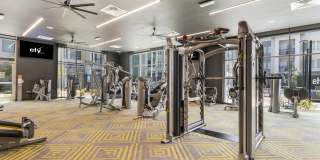 Ely at Fort Apache Gallery 16