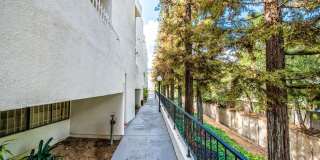 Modern Style 3 Bed / 3 Bath Townhouse + Bonus Room in North Alhambra! Gallery 16