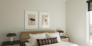 Martin Gallery 32