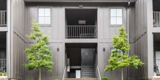 Forest Park Apartments Gallery 2