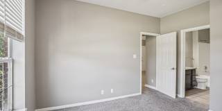 Bridford Lake Gallery 8