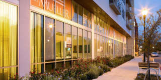 AMLI at Mueller Gallery 30