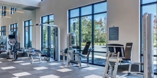 Nexus Brandon Gallery 51