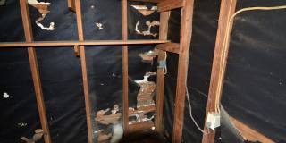 Funky East Side 2 Bedroom Gallery 20