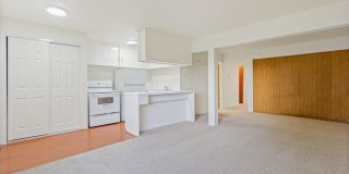 1319 15th Ave S#13 Gallery 1
