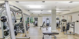 Windsor Main Place Gallery 47