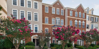 630 Pelican Avenue - 1 Gallery 1