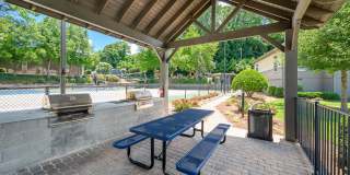 The Harrison Gallery 25