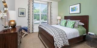 Addison Crater Woods Gallery 7