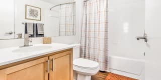 Sawyer Flats Gallery 64