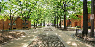 Westview On The Avenue Gallery 3