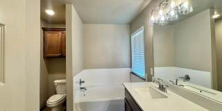 709 Caladium Drive Gallery 17