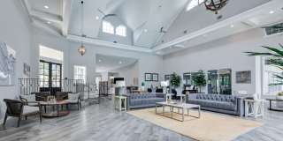 Paradise Island Gallery 57