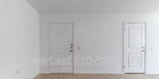 4407 Grassland Pass Gallery 5