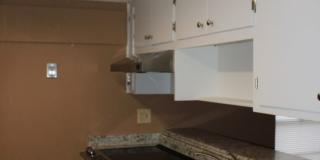 2 Bedroom 1.5 Bath W/ Formal Living & Family Room 2 Bedroom 1.5 Bath W/ Formal Living & Family Room Gallery 10