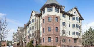 Scarsdale Commons Gallery 1