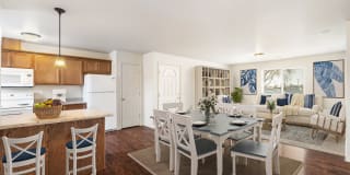 Pine Tree Park Gallery 1