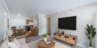 Medical Center Gallery 7