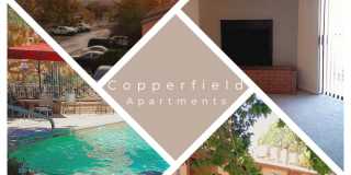 Copperfield Gallery 1